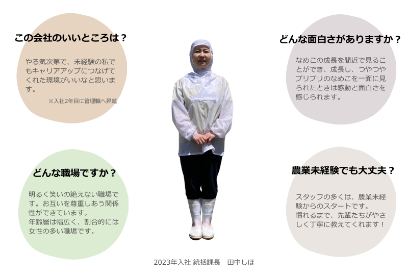 先輩社員の声