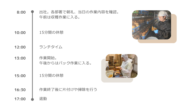 1日の業務の流れ