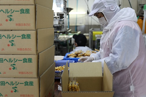 目視で検品、梱包する